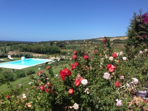 Casa Badesi 011