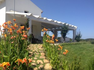 Foto Iphone nuove 1491