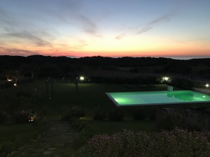 IMG 2153