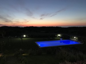 IMG 2163